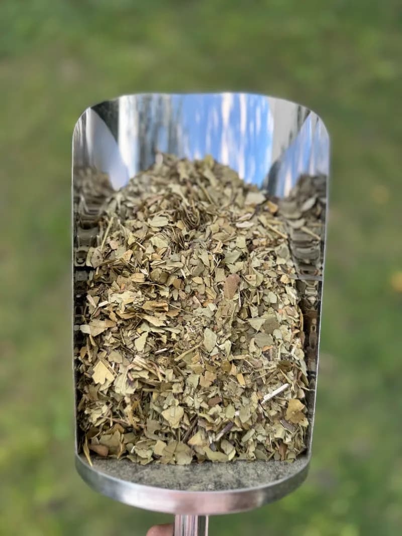 Yerba Despalada Gruesa