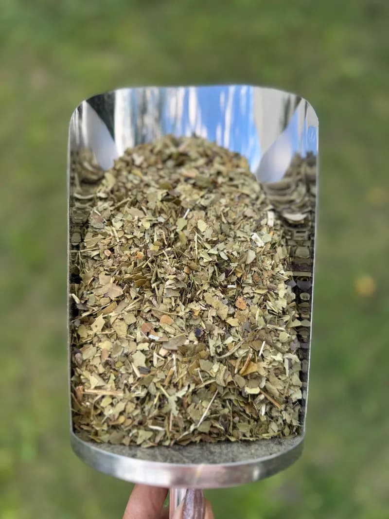 Yerba Despalada Mediana